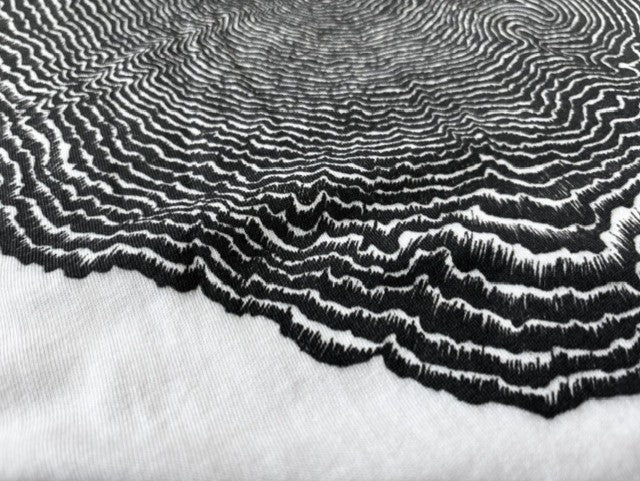 Code : #3776 | Tree rings of MtFuji