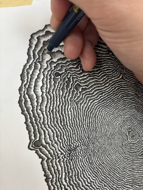 Code : #3776 | Tree rings of MtFuji