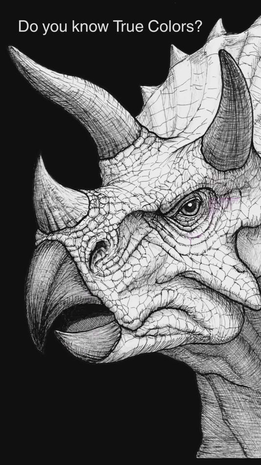 True Colors | The Unseen Essence | Triceratops unisex organic cotton T-shirt | Free Worldwide Shipping