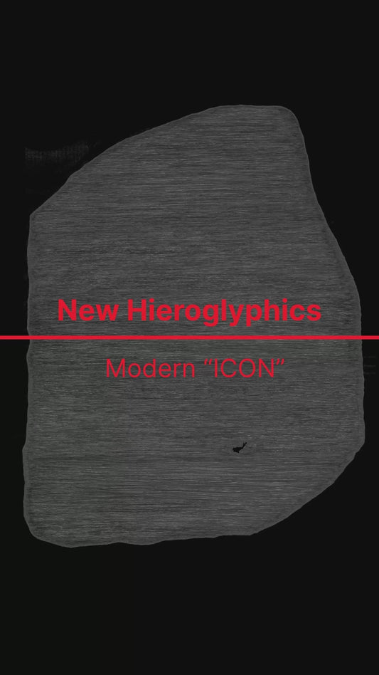 New Hieroglyphics | Modern Icons | unisex organic cotton T-shirt | Free Worldwide Shipping